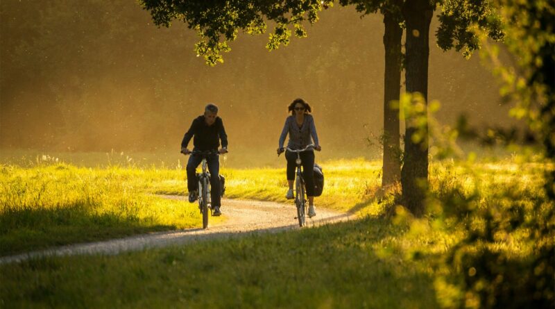 Cyklisté kolo
