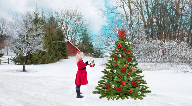 ilustrační obrázek - advent, vánoční strom