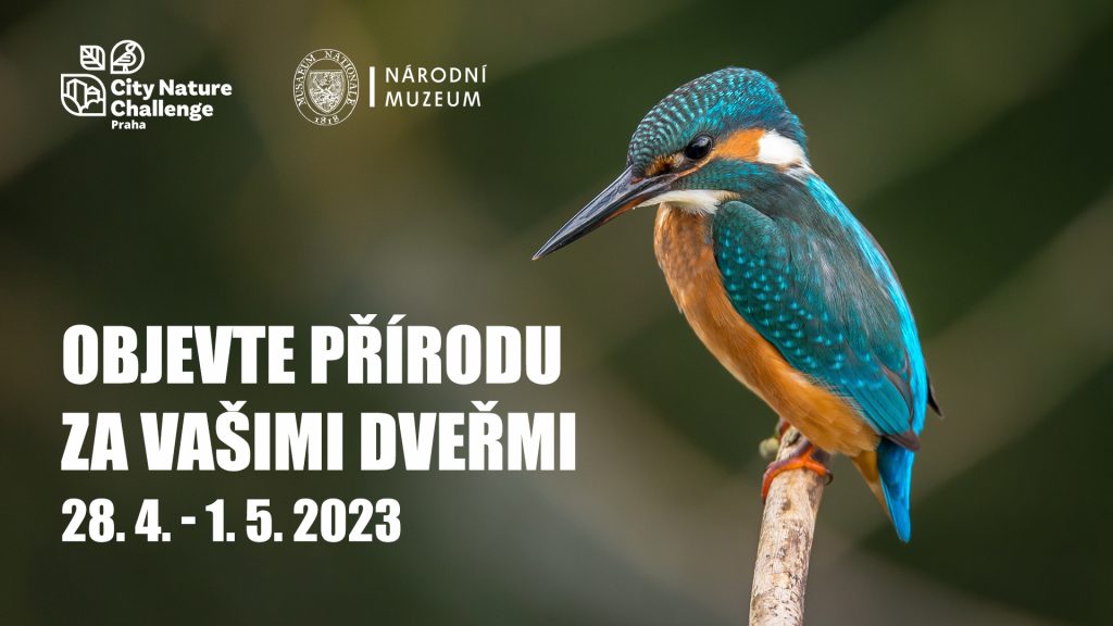 banner city nature challenge 2023