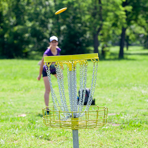 Ilustrační obrázek k návrhu do participativního rozpočtu - discgolf