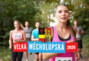 Úvodní obrázek k velká měcholupská