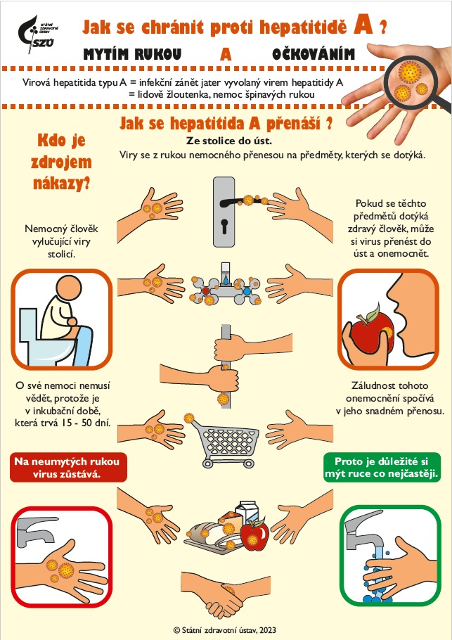 Informační leták žloutenka