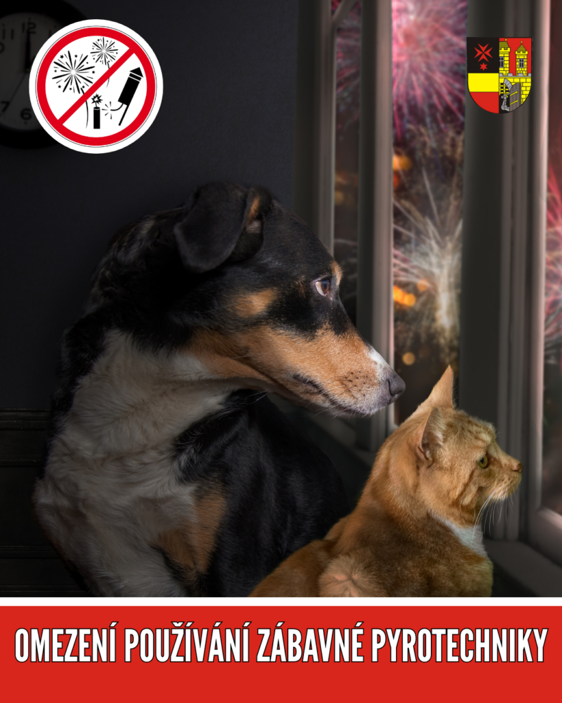 Obrázek k pyrotechnice